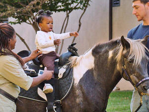 Oracle Band at FutureCare Harvest Festival 2008