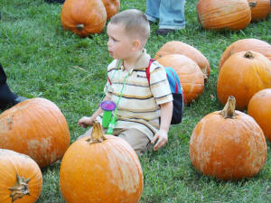Oracle Band at FutureCare Harvest Festival 2008